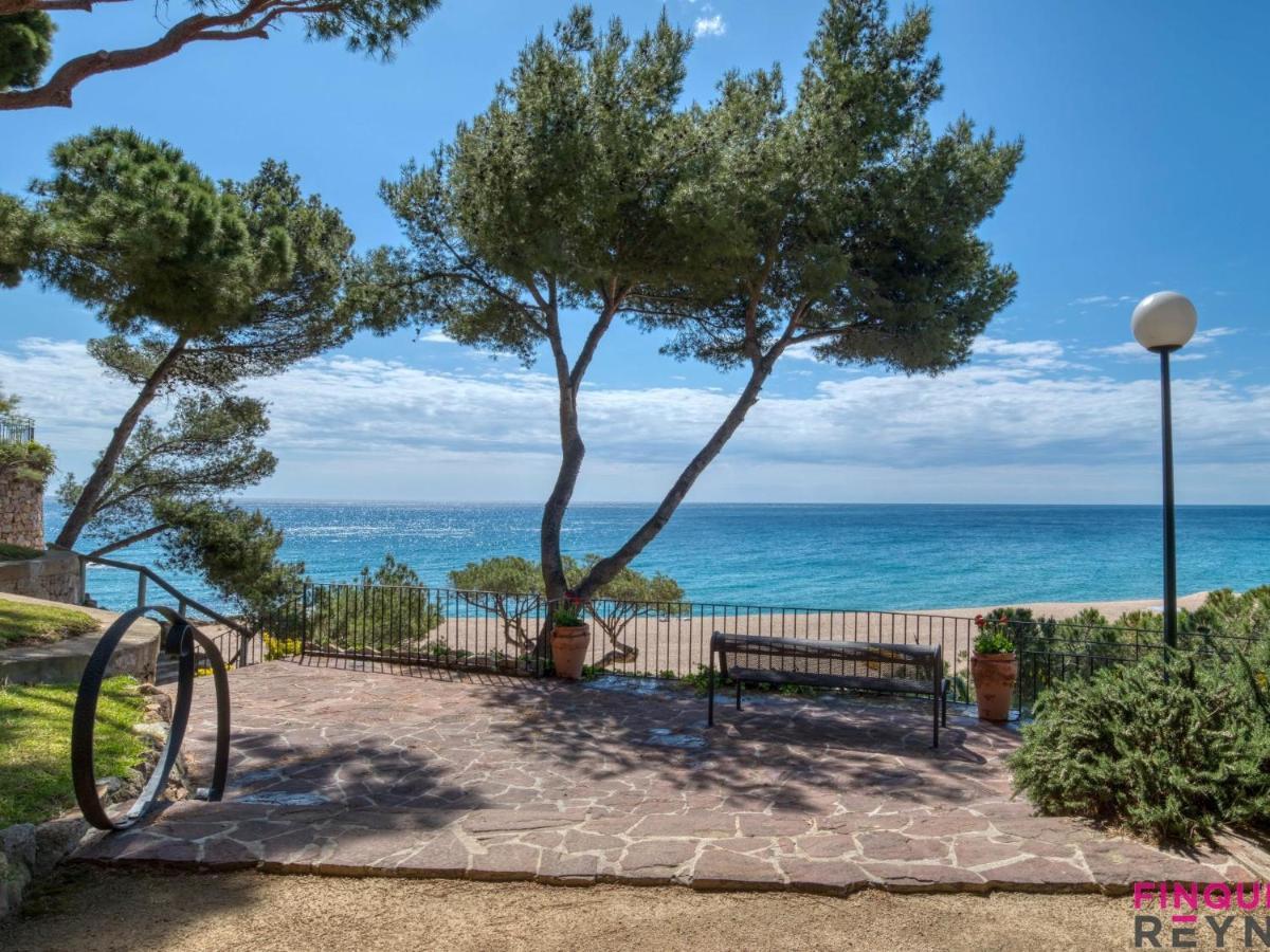 Cavall Bernat * Platja d'Aro (Playa de Aro)