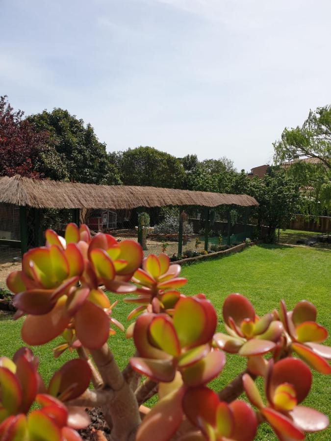 Сasa de vacaciones Del Remei Vidreres