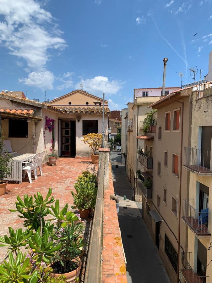 Apartment Notaria: Casco Antiguo With Garden Terrace *
