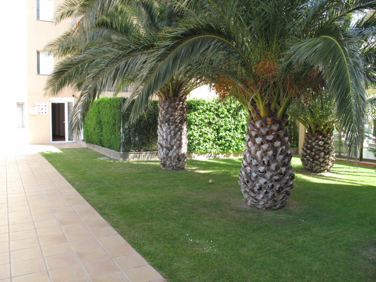 Apartment Mediterraneo 2 3 6 - Immo Barneda Roses