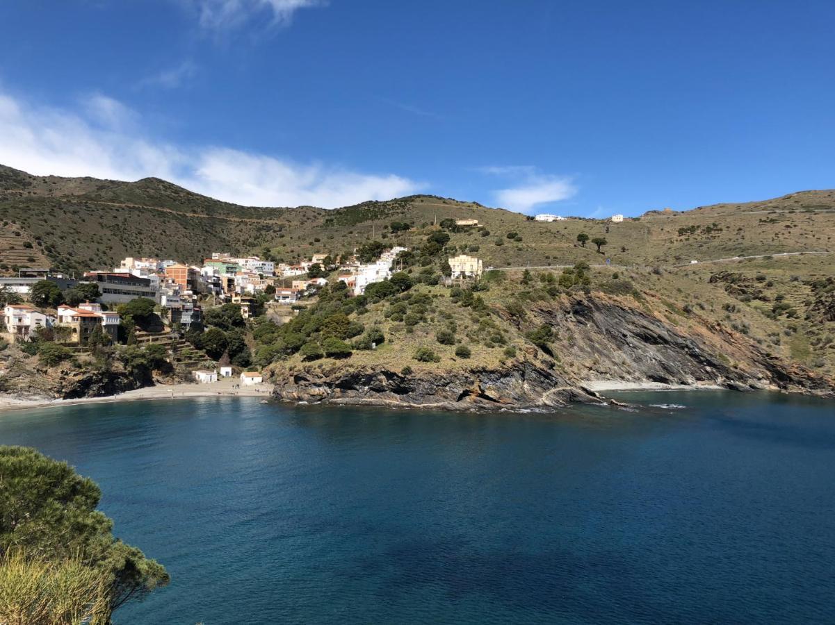 Apartamento Piso En La Costa Brava Y Al Inicio Del Pirineo Portbou