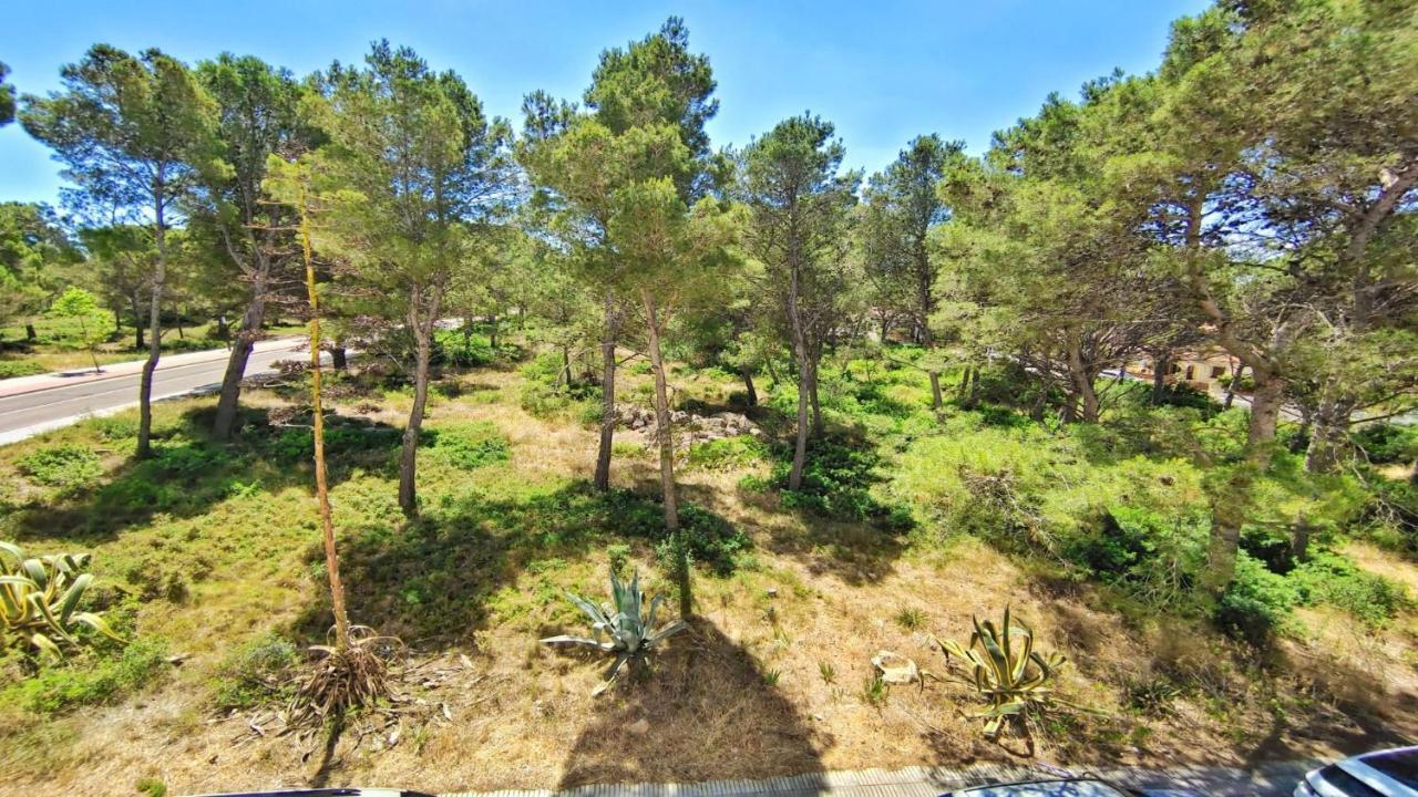 Vacay Calme, En La Costa Brava Apartamento