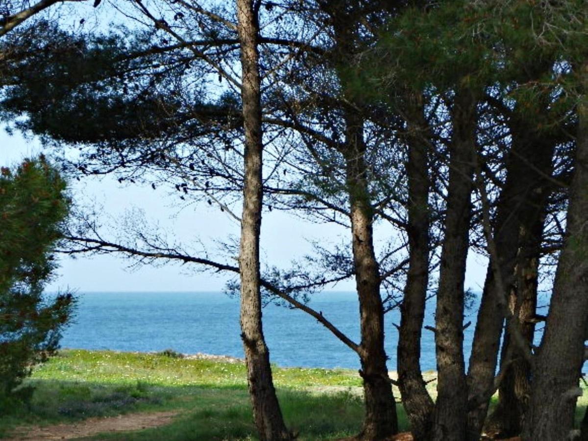 Apartamento Vacay Calme, En La Costa Brava *