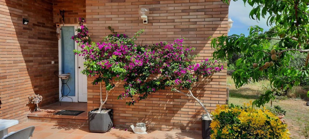 Apartamento Carbó