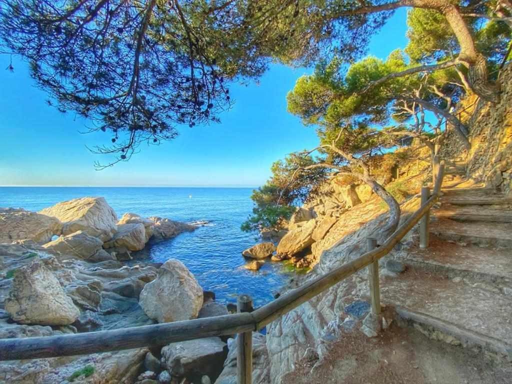 Direct Beachpetfriendly By Rinconesmediterraneos Calonge (Catalonia)