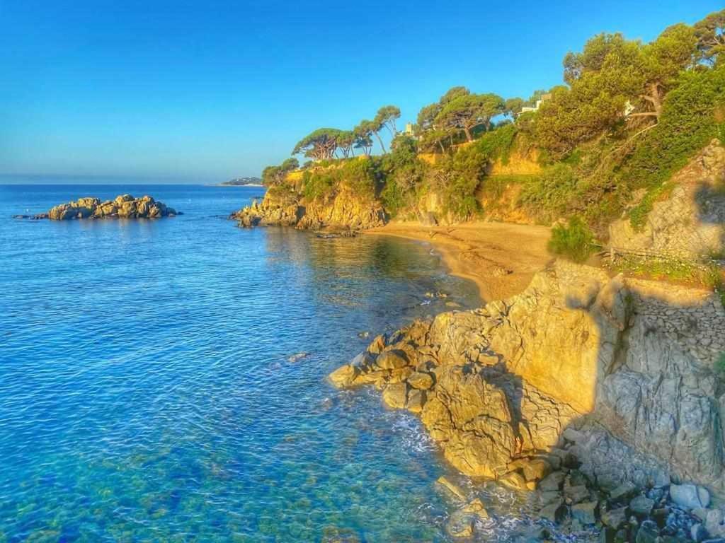 Direct Beachpetfriendly By Rinconesmediterraneos