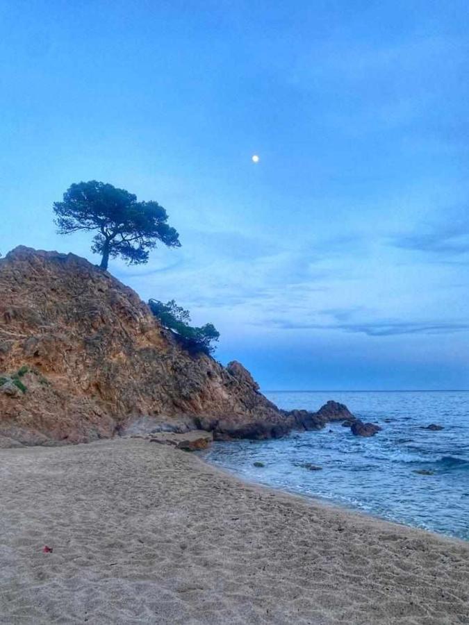 Direct Beachpetfriendly By Rinconesmediterraneos Apartamento Calonge (Catalonia)