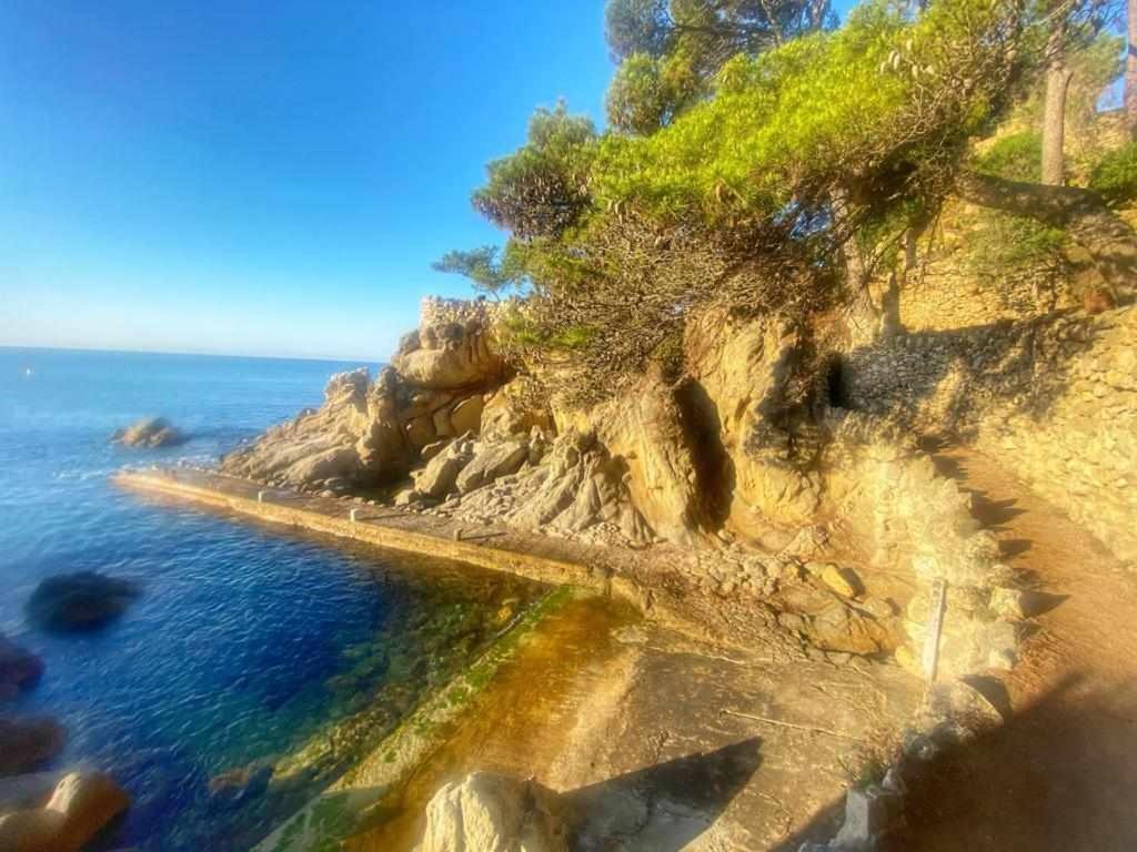 Direct Beachpetfriendly By Rinconesmediterraneos Calonge (Catalonia)