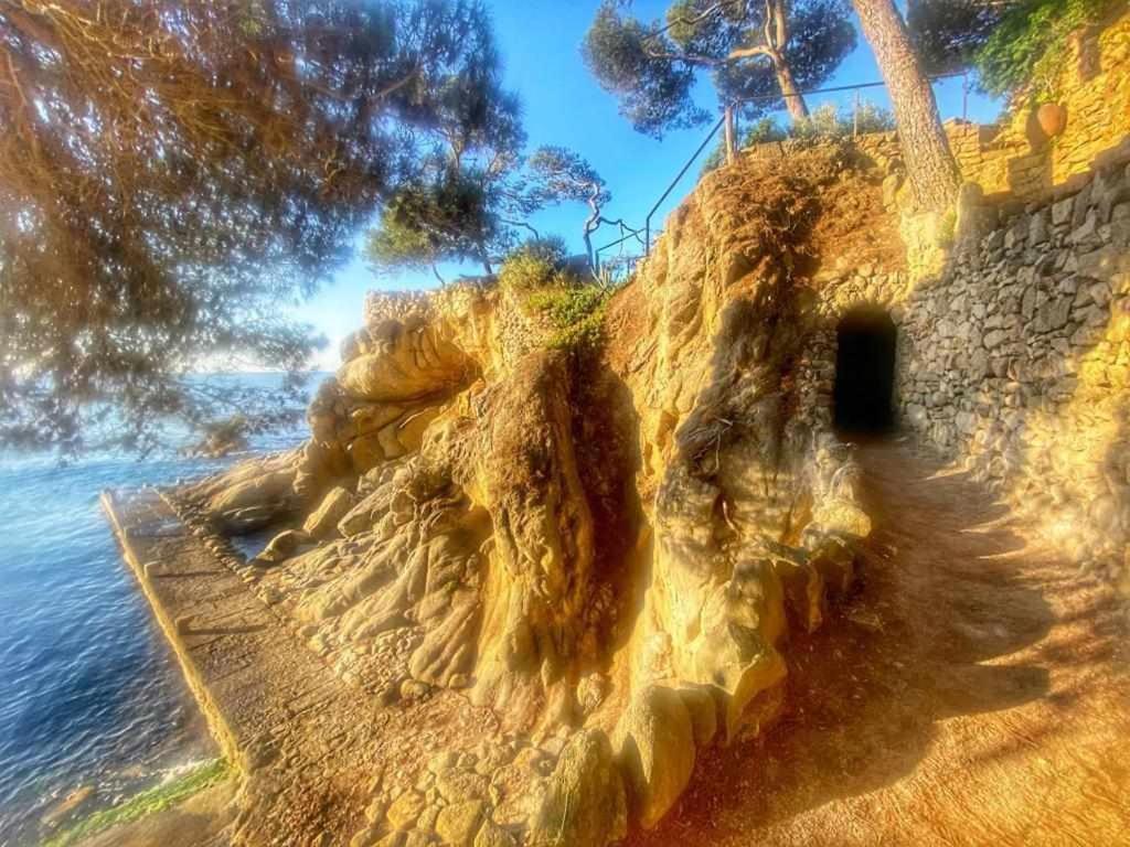 Direct Beachpetfriendly By Rinconesmediterraneos