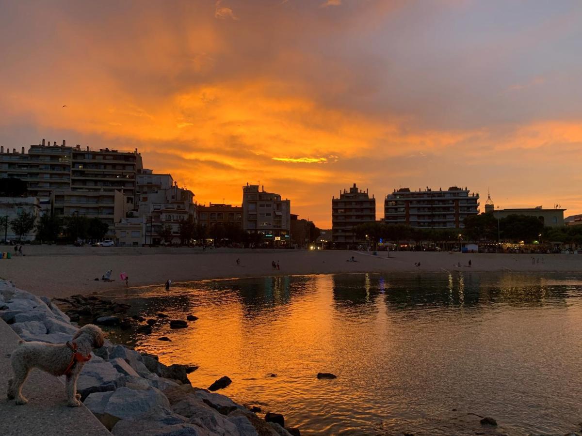 En Casco Antiguo, Al Lado De Playa, Rambla Y Monasterio, Con Acceso A Terraza Ajardinada