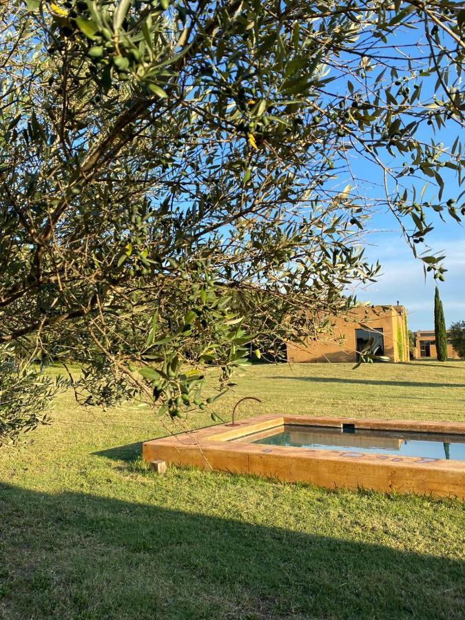 Bed and breakfast Fundació L'olivar