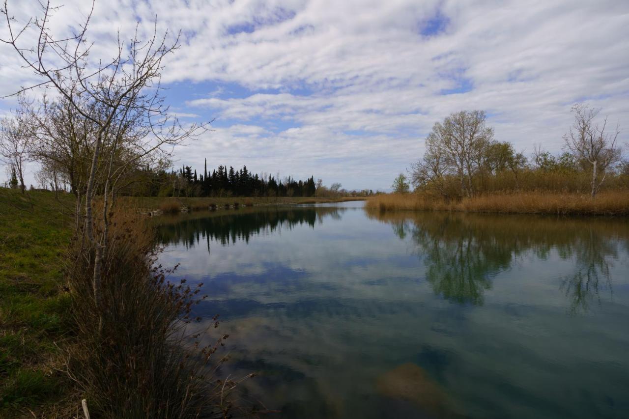 Rosa Sant Pere Pescador