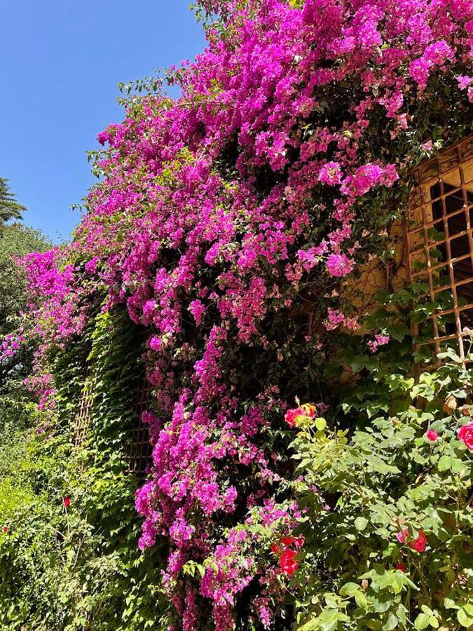 Codol De Fluvia - Casita Torroella de Fluvia