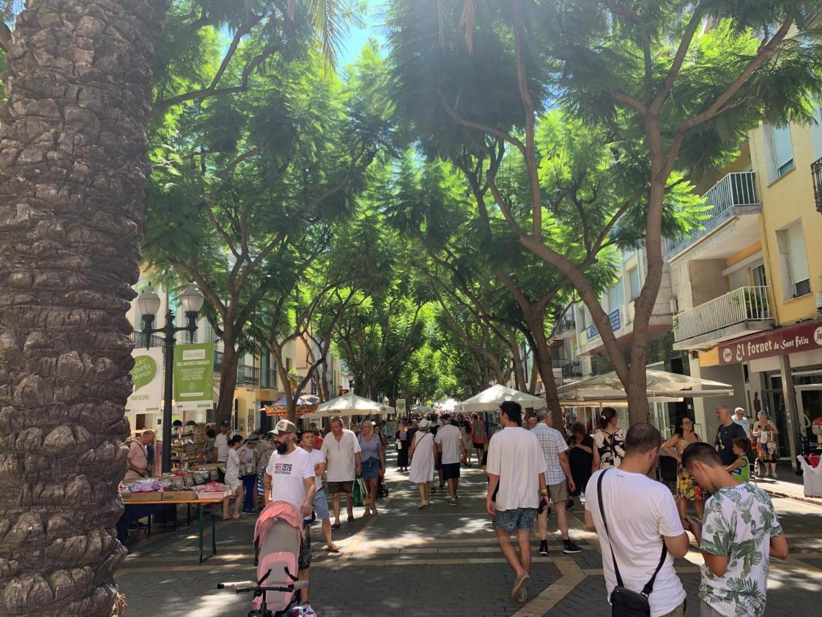Notaria: Casco Antiguo With Garden Terrace Apartment Sant Feliu de Guixols