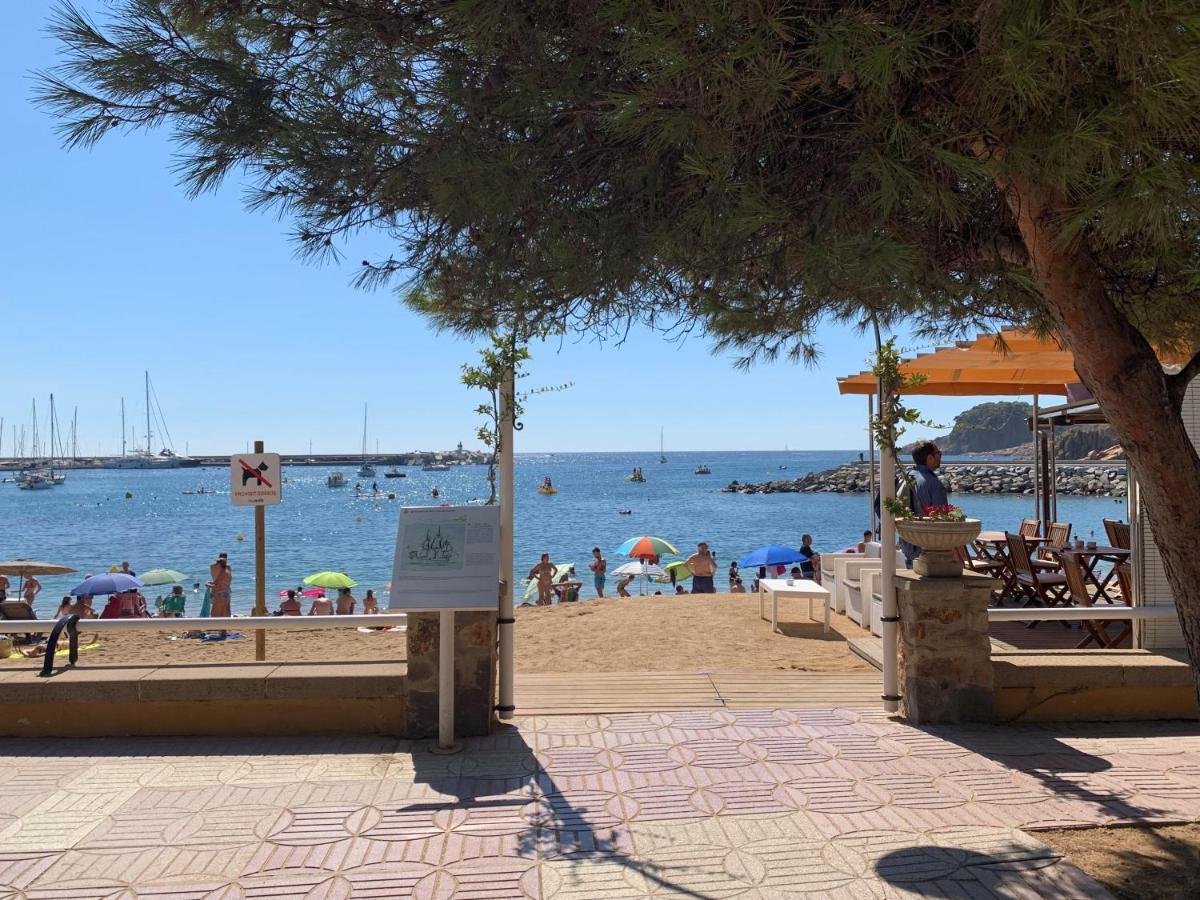Notaria: Casco Antiguo With Garden Terrace Apartment *