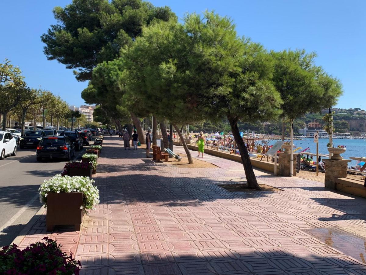 Apartamento En Casco Antiguo, Al Lado De Playa, Rambla Y Monasterio, Con Acceso A Terraza Ajardinada *