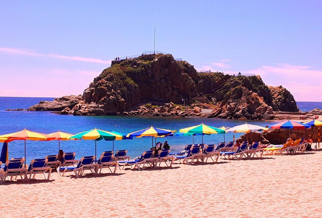 Pins Tordus Blanes
