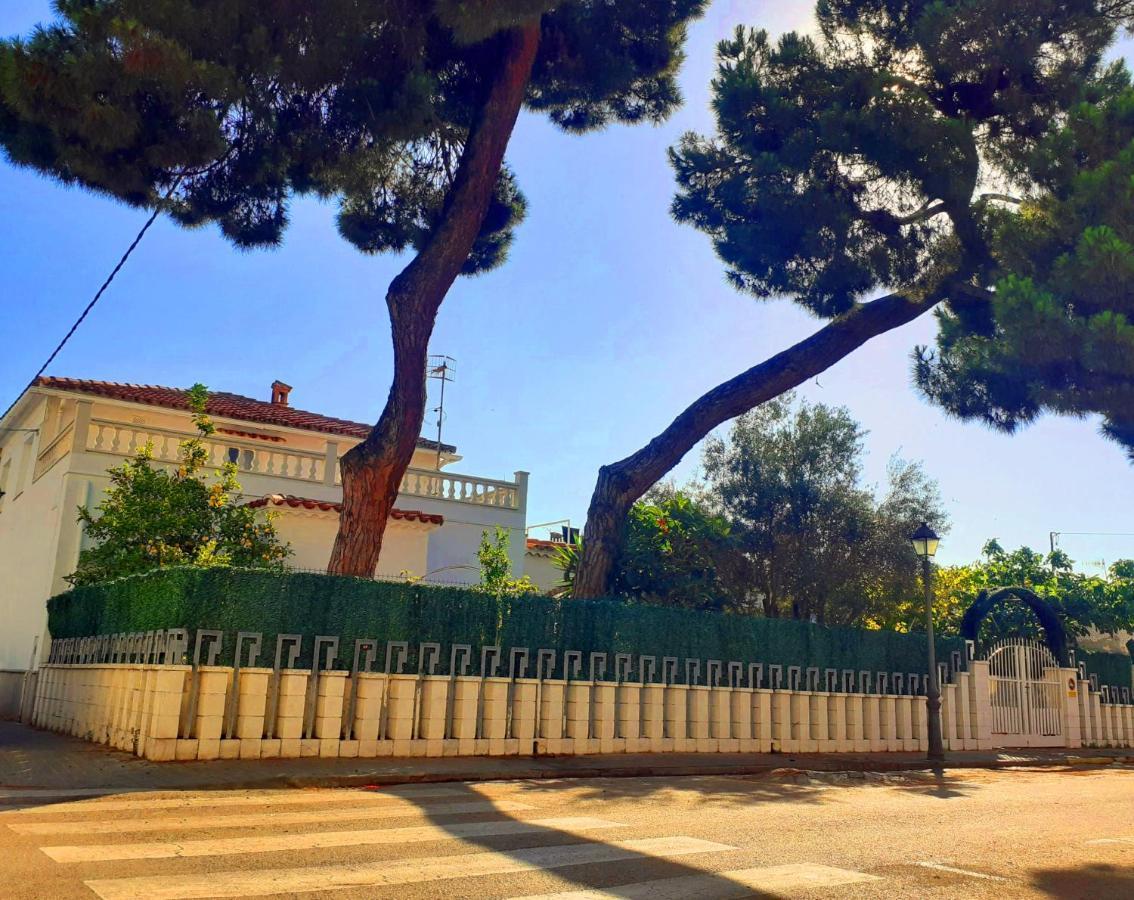 Pins Tordus Bed and breakfast Blanes