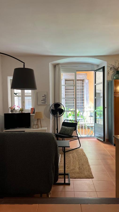 Con Mucho Encanto En El Barri Vell , Old Town, De Girona, El Cul De La Lleona Apartamento