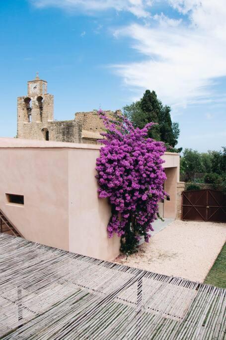 Camades - Casa Amb Jardí I Piscina A L'empordà Villa La Tallada