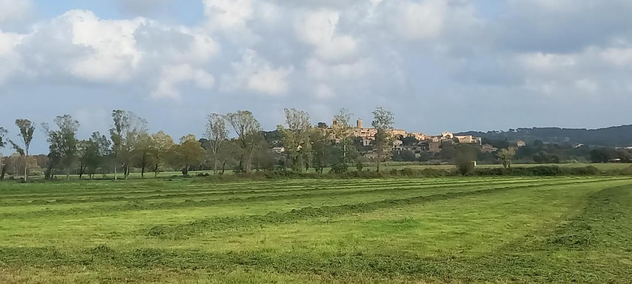 Happy Nest In Village Pals