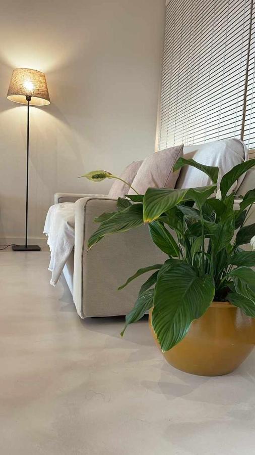 Apartment The Loft Lovely Houses Diana *