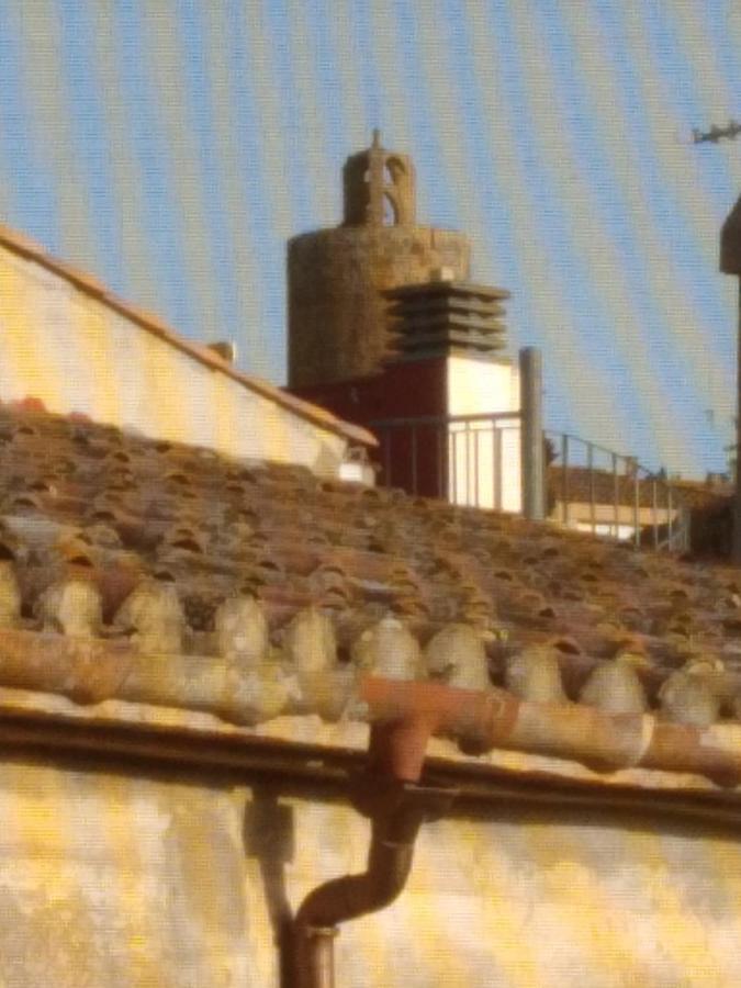 Happy Nest In Village Pals