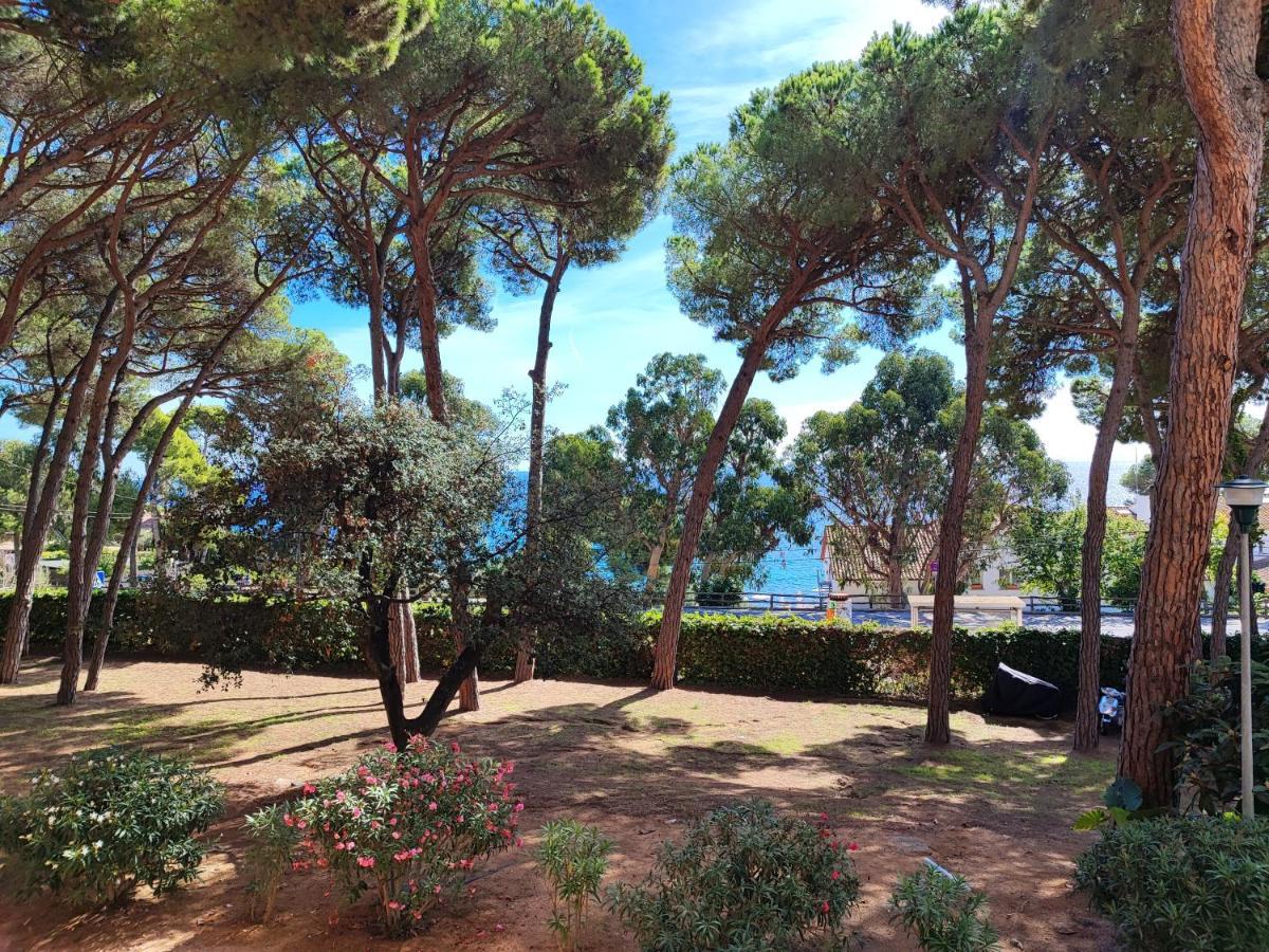 Apartment Con Amplia Terraza Y Vistas Al Mar A 150 Metros De La Playa *