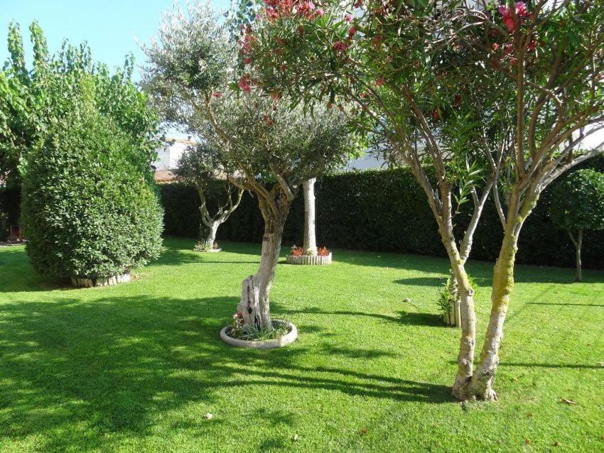 A 3 Minutos De La Playa. Cerca Del Centro Apartment