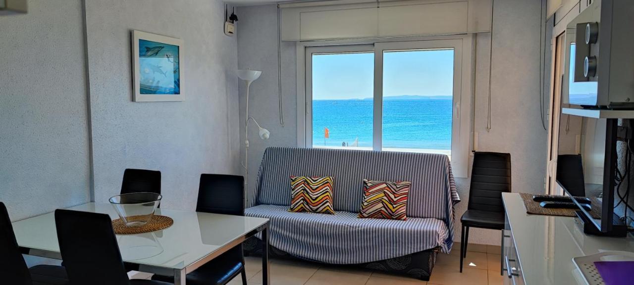 Oasis A6 * Rosas