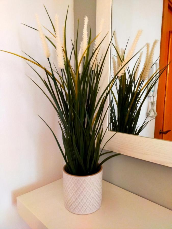 Geminis Wifi Parking Free Apartment Tossa de Mar