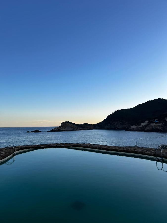 Apartamento Cap Sa Sal -apartament - Costa Brava Begur