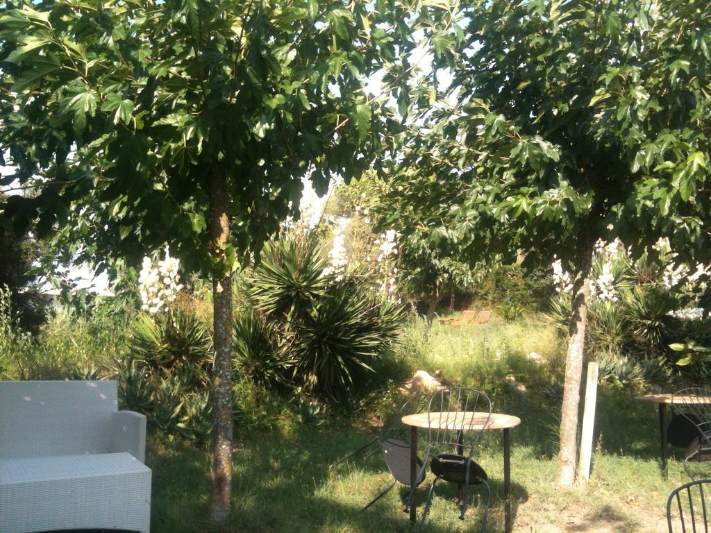 Hotel Mas Ribas
