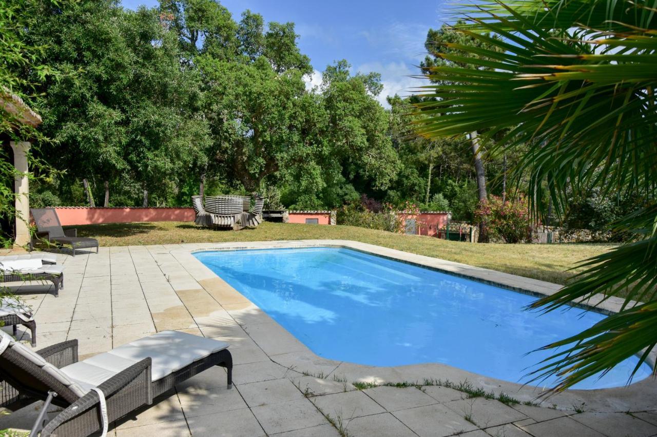Holiday home Negrell Vidreres