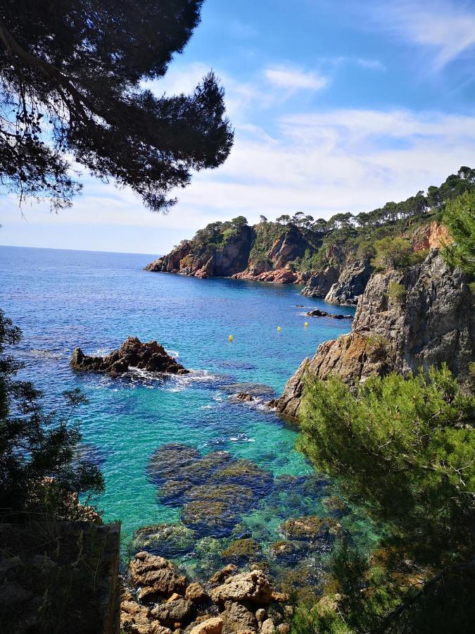 Con Piscina L' Ancora Calella De Palafrugell