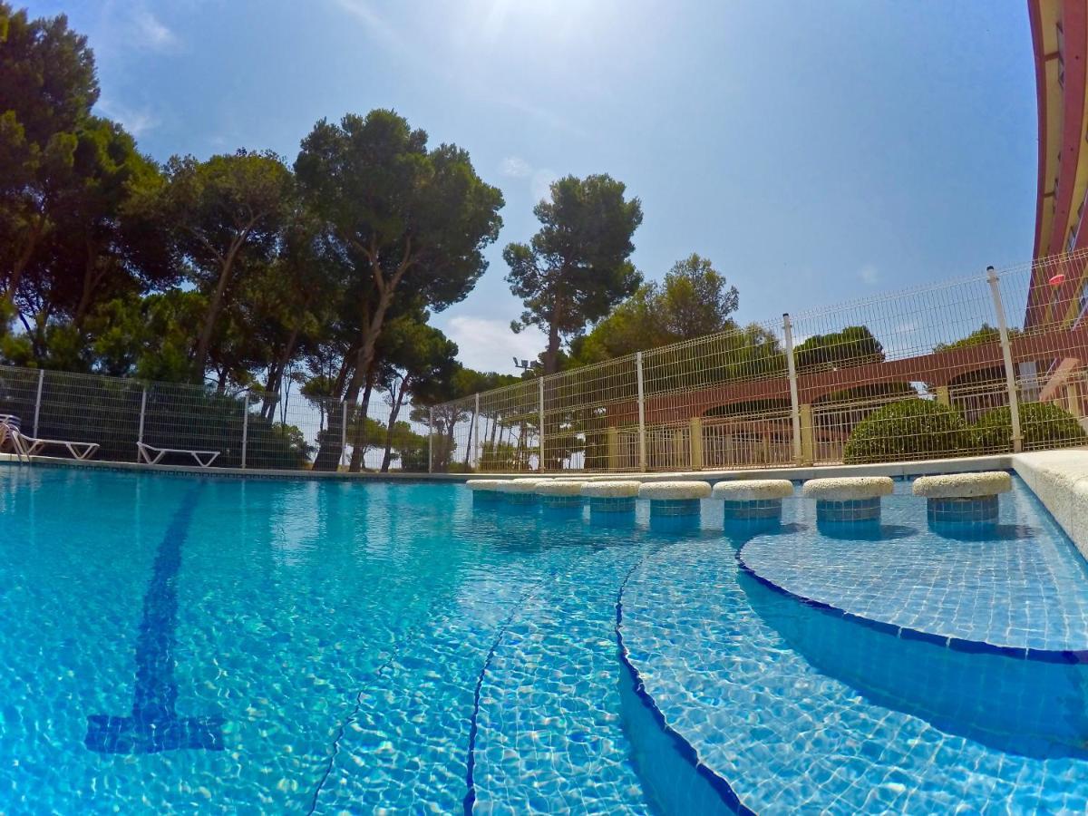 Trill Mirasol B Estudio 1a Linea Mar L'Estartit