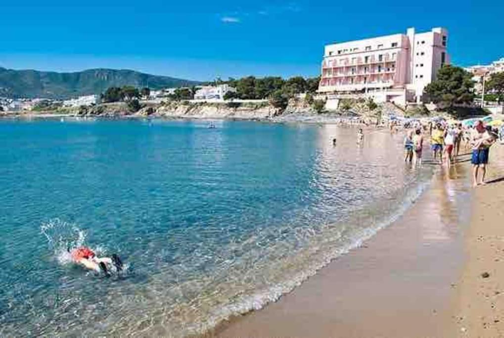Apartamento Con Piscina En *