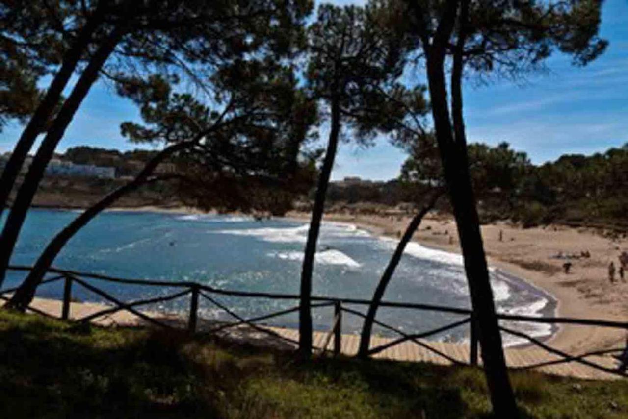 Apartment Primerisima Linea De Mar. Hutg 038644-53