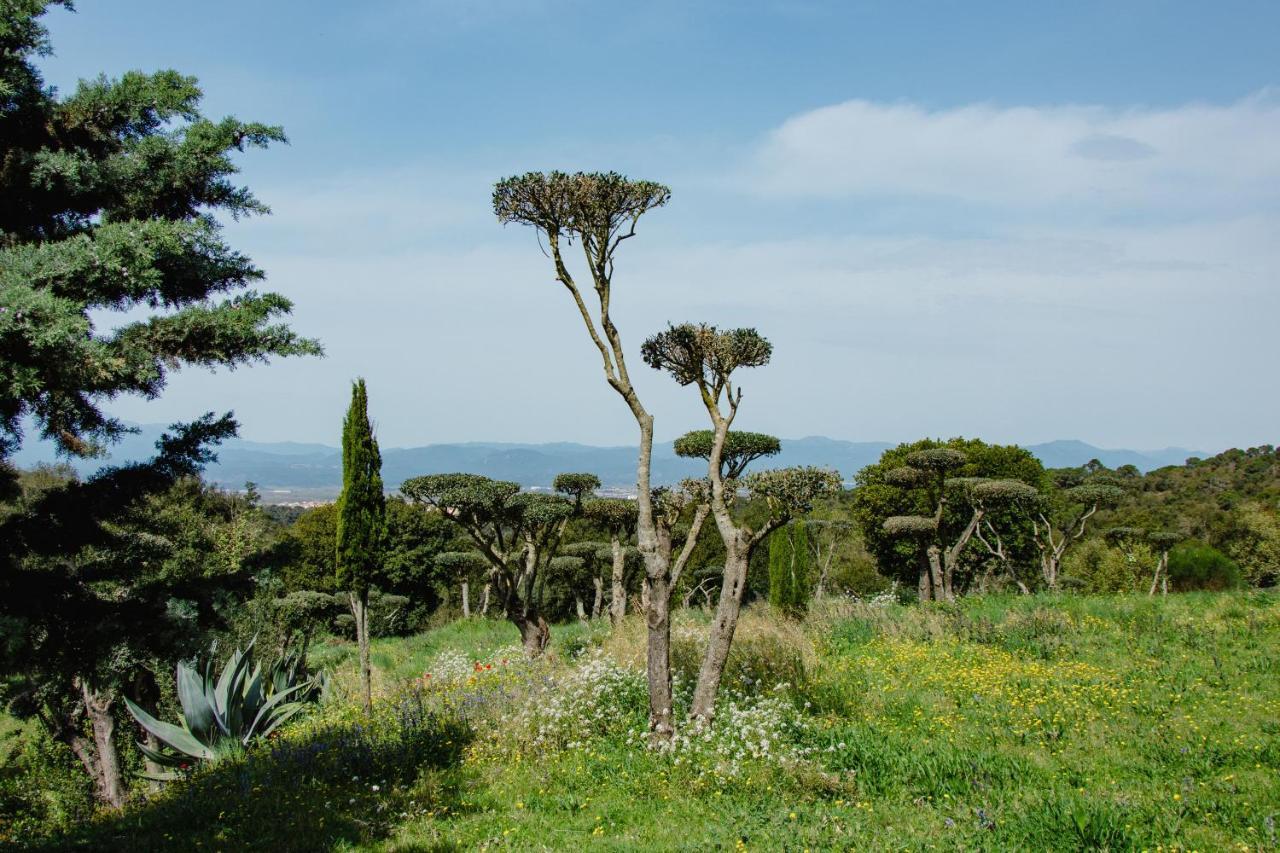 Negrell Holiday home Vidreres