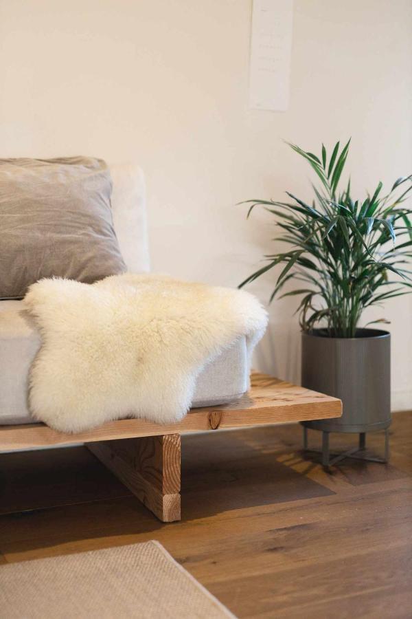 Apartment Cal Ouaire House Lohodihomes *