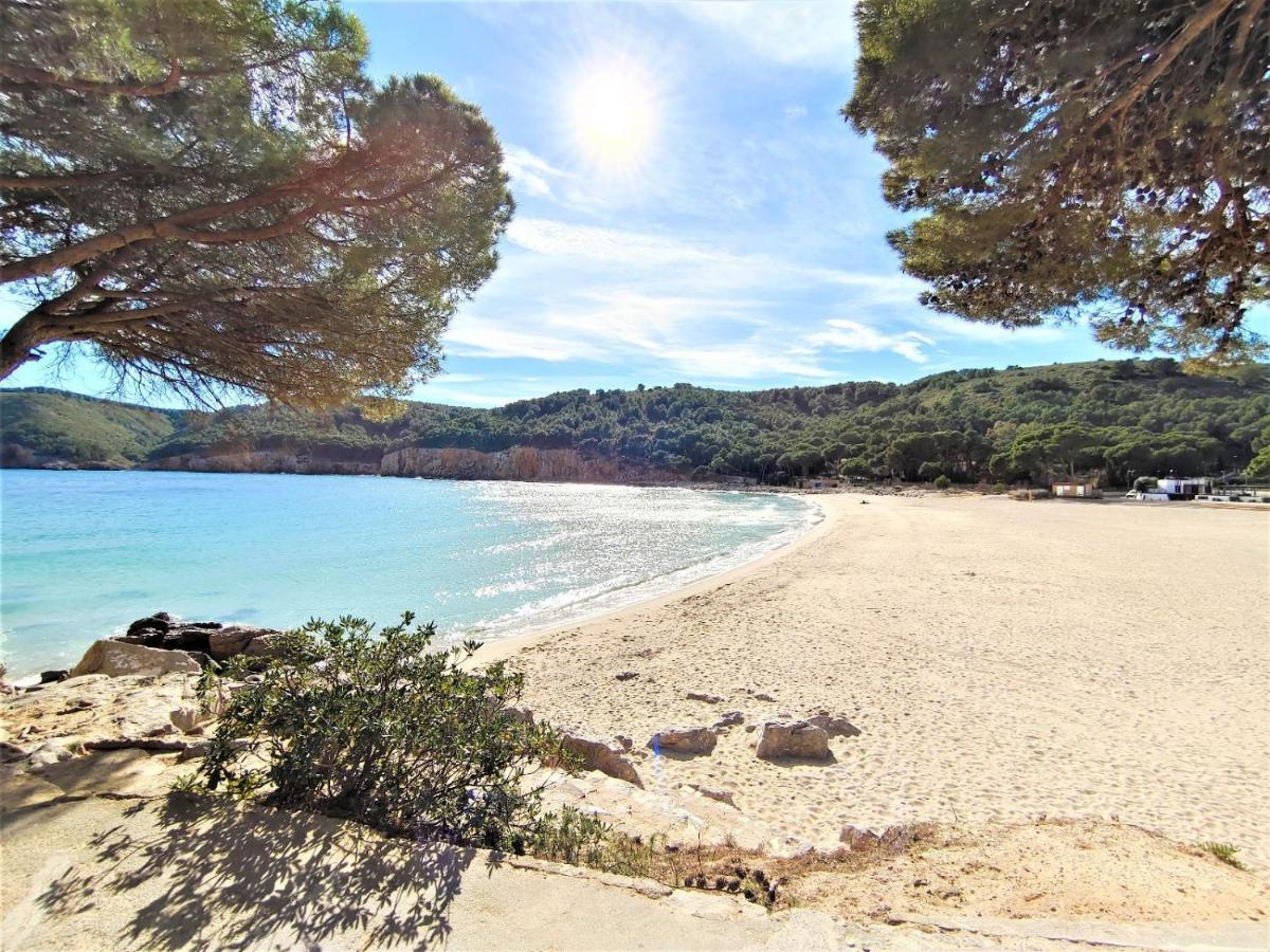 Fanny 100m De La Playa