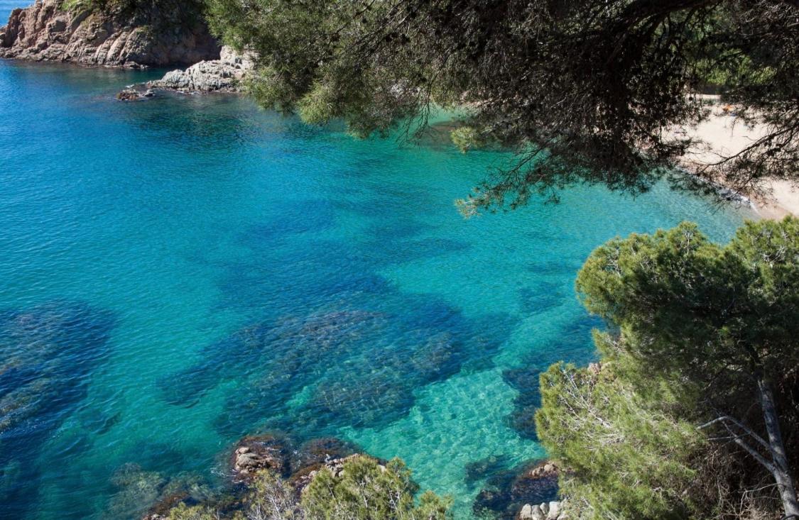 Seahomes Vacations - Marina Blue In A Exclusive Place Apartamento