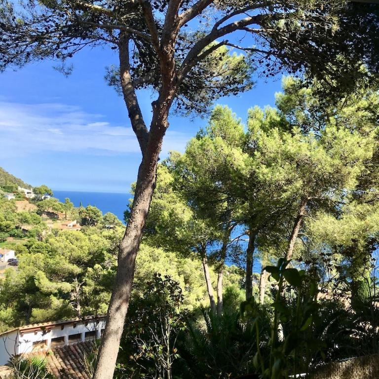 Villa Mediterranean Dream