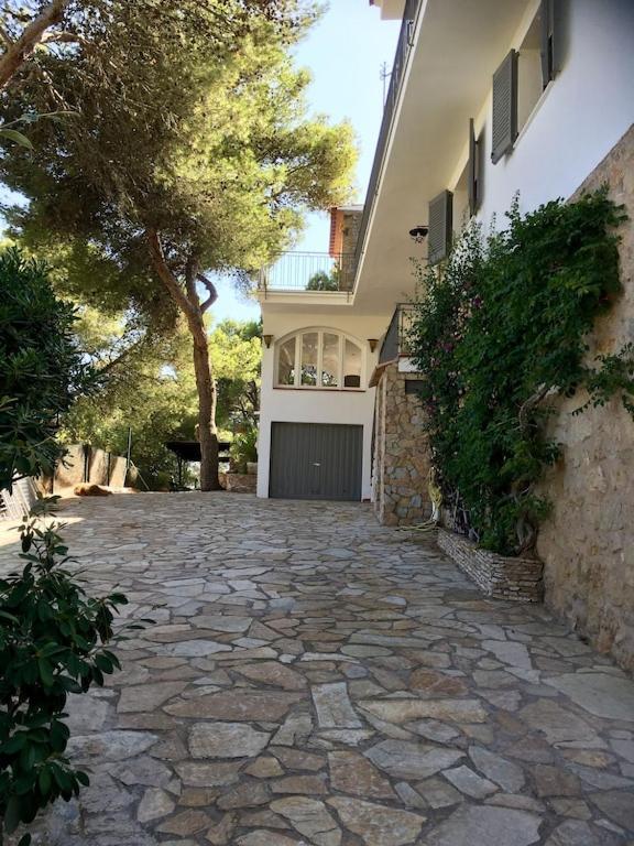 Mediterranean Dream
