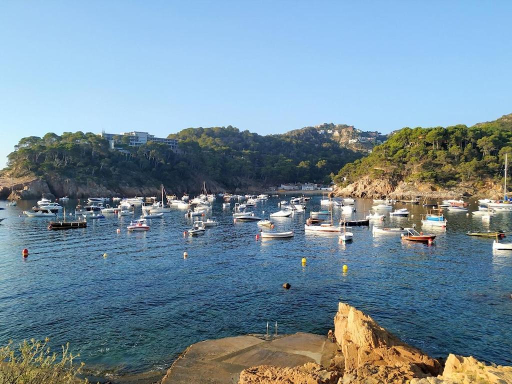 Mediterranean Dream Begur