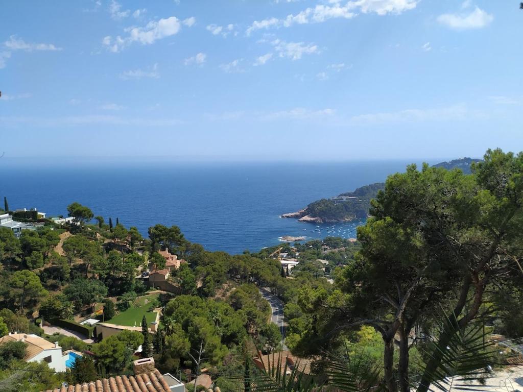 Villa Mediterranean Dream