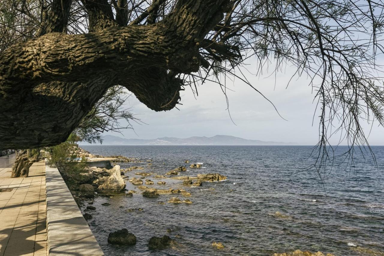 Mar * L'Escala