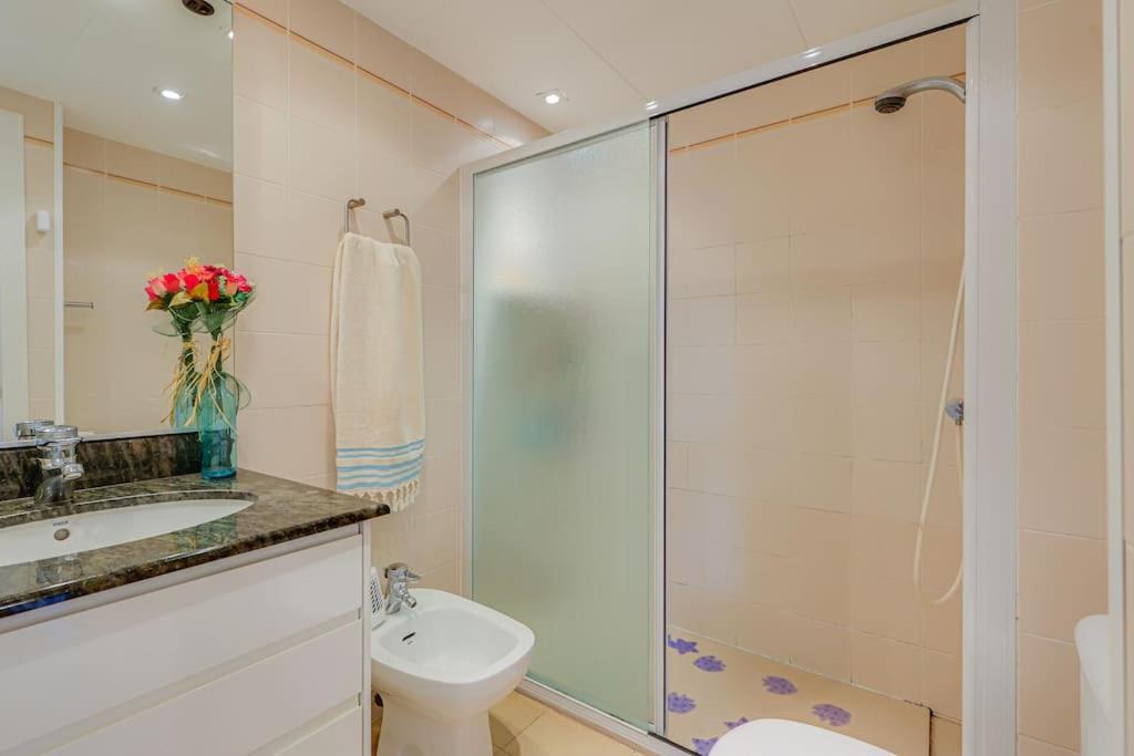 Ba Windsor 13 * Blanes