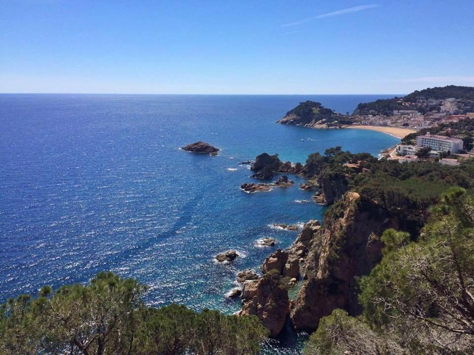 Bouganvilla Tossa de Mar