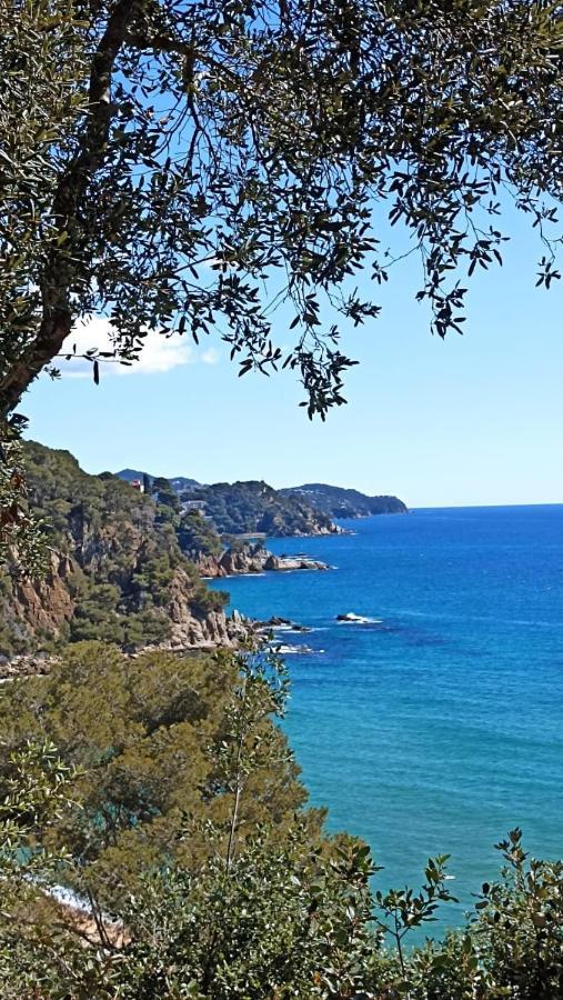 Daro Platja d'Aro